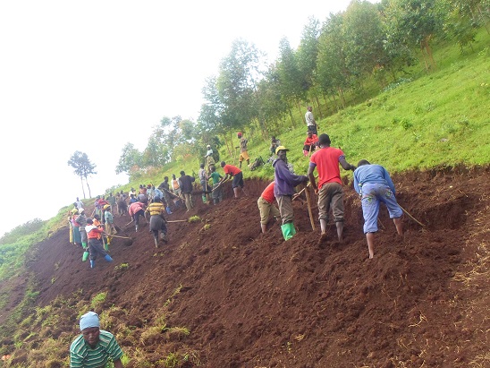 proj7 Activités